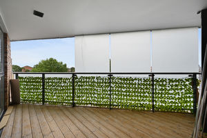 Photo 11- click for photo gallery